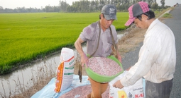 Xung đột Trung Đông khiến giá phân bón tăng mạnh, có tác động tới Việt Nam?