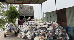 Cựu Phó cục trưởng Hải quan nhận hối lộ 800 triệu đồng giúp doanh nghiệp làm hàng giả thông quan