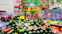 Dưa hấu Gia Lai bán tại ruộng chỉ 5.000 - 6.000 đồng/kg