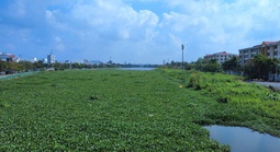 CLIP: Hồ Búng Xáng ở Cần Thơ cải tạo hơn 220 tỉ đồng nhưng vẫn ô nhiễm trầm trọng