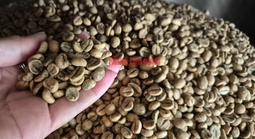 Giá cà phê ngày 10-4: Robusta và Arabica cùng giảm