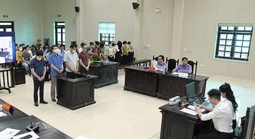 35 bị cáo đưa, nhận hối lộ trong cung cấp thực phẩm cho các trường mầm non