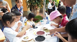 Tiếng Pháp là ngoại ngữ được học nhiều thứ hai tại Việt Nam