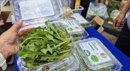 Bất ngờ về loại rau 350.000 đồng/kg vẫn được người ở TPHCM xem là “rẻ”