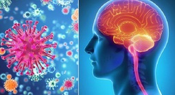 Kết quả xét nghiệm 3 trường hợp nghi viêm não mô cầu ở Cà Mau