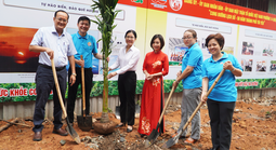 TPHCM yêu cầu có trách nhiệm với từng cây trồng