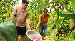 Tìm ra nguyên nhân vụ nước giếng khoan đổi màu tím bất thường