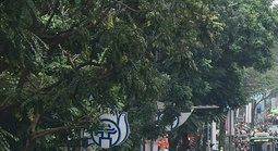 Thủ tướng yêu cầu không để ùn tắc kéo dài ở cửa ngõ Hà Nội, TPHCM dịp nghỉ lễ