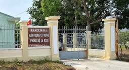 Bắt tạm giam một trưởng ban quản lý rừng phòng hộ