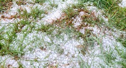 Mưa đá gây hại nặng nề, Phó Chủ tịch UBND tỉnh Quảng Ngãi tới hiện trường kiểm tra