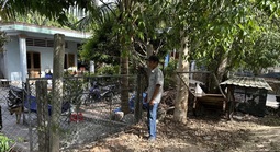 Khốn khổ vì bản án chưa được thi hành