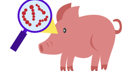 Ăn thịt heo chưa nấu chín, người đàn ông ở TPHCM nguy kịch