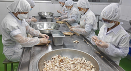 Hỗ trợ vốn cho doanh nghiệp TP HCM