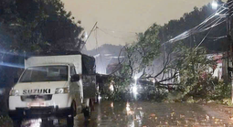 Dông lốc, mưa đá làm 1 người chết, hơn 1.000 nhà hư hỏng