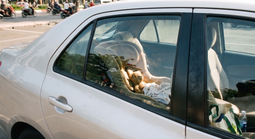 Luật sư nhận định vụ bé gái tử vong sau hơn 5 tiếng bị bỏ quên trên ô tô