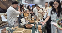 Giá cà phê hôm nay 17- 4: Quay đầu giảm, dân trong nghề thích ứng xu thế cà phê mới