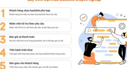 Tăng thứ hạng website với dịch vụ backlink SEO chuyên nghiệp từ DanaSEO