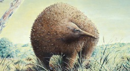 Sinh vật lạ ẩn mình trong hang động nồng nặc mùi tử khí