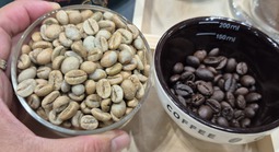 Giá cà phê hôm nay 18-4: Giảm tiếp, bất chấp Brazil xuất khẩu thấp nhất 8 năm qua