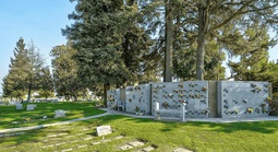 “Thế giới sự sống” gây sốc bên dưới nghĩa trang New York