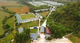 Thông tin mới liên quan vụ nước giếng khoan nhà dân đổi màu tím, bốc mùi hôi thối