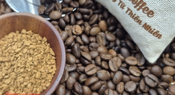 Giá cà phê hôm nay 19-4: Arabica đối mặt áp lực lớn