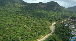 Vụ 42 cây mai vàng: Chỉ đạo mới nhất từ Vườn quốc gia Côn Đảo