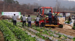 Lao động đi làm việc thời vụ tại Hàn Quốc phải tham gia bảo hiểm tai nạn