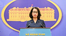 Việt Nam đã triển khai các hoạt động ngoại giao năng lượng ở cấp cao và các cấp