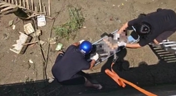 Phát hiện thi thể nam giới trôi dạt vào bờ sông Dinh