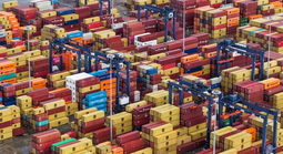 Xuất hiện bẫy thương mại tinh vi