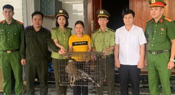 Hà Tĩnh: Người dân giao nộp hai cá thể động vật nguy cấp, quý hiếm