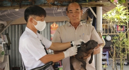 Chó mẹ tấn công nhiều người và cắn chết đàn chó con vừa sinh