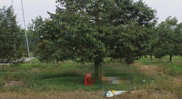 Điều tra vụ người đàn ông tử vong cạnh khẩu súng trong vườn sầu riêng