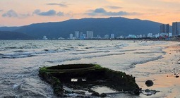 Cận cảnh "vật lạ" trồi lên trên bờ biển Quy Nhơn