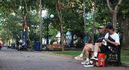 Xanh đô thị, mát tinh thần