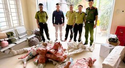 Công an thu giữ 15 phôi cây muội hồng ở bưu điện