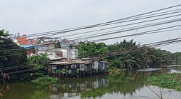 Phản hồi: Gỡ nhánh cây vướng vào dây điện