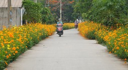 TPHCM: xã đủ điều kiện khẩn khương hoàn thiện thủ tục lên phường