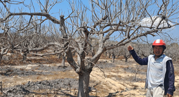 Chuyện khó hiểu ở khu phố Suối Nước