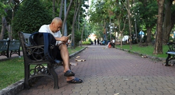 Xanh đô thị, mát tinh thần (*): Sớm phủ xanh thành phố