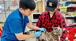 Cảnh báo bệnh dại và thói quen chết người