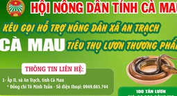 Cà Mau kêu gọi "giải cứu" lươn với giá 60.000 đồng/kg