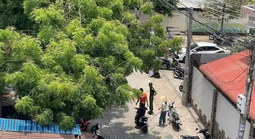 Mâu thuẫn cá nhân, một học sinh bị đâm tử vong ở Mũi Né