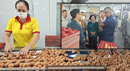 Tiếc cho thương hiệu trứng sạch Ba Huân