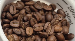 Giá cà phê hôm nay 24-4: Đồng loạt tăng 3 con số