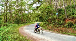 Gần 83 ha đất rừng được chuyển đổi để làm khu đô thị ở Măng Đen