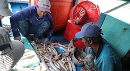 Vì sao nhiều người dân ở "xã An toàn khu" TPHCM chưa nhận được thẻ BHYT miễn phí?