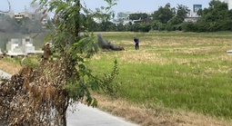 TPHCM: Xử phạt 2 người đốt rác gây ô nhiễm