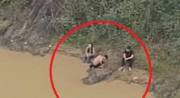 VIDEO: Hai nam sinh lao xuống sông cứu nữ sinh lớp 11 nhảy cầu